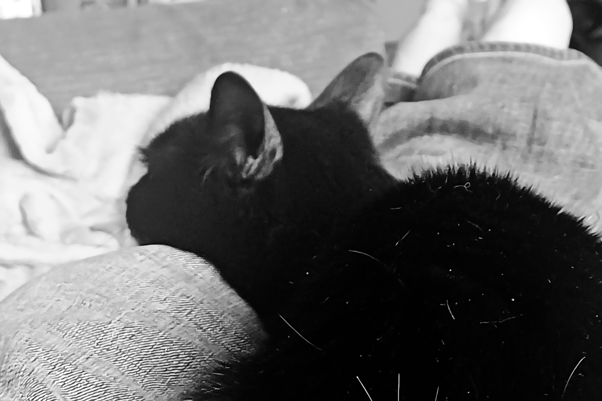 4742 days of my life in 35 photos — vue 025