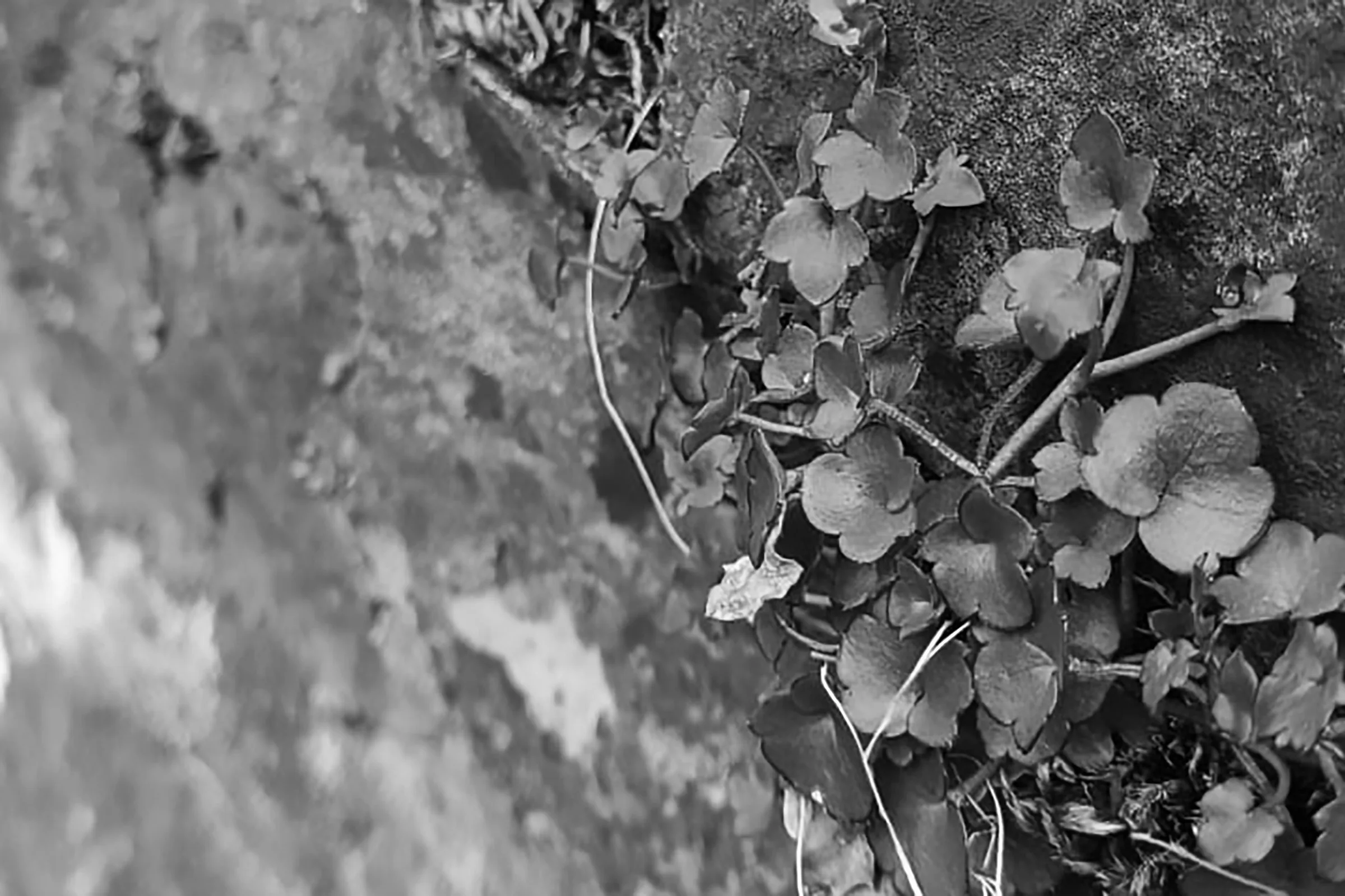 4742 days of my life in 35 photos — vue 035