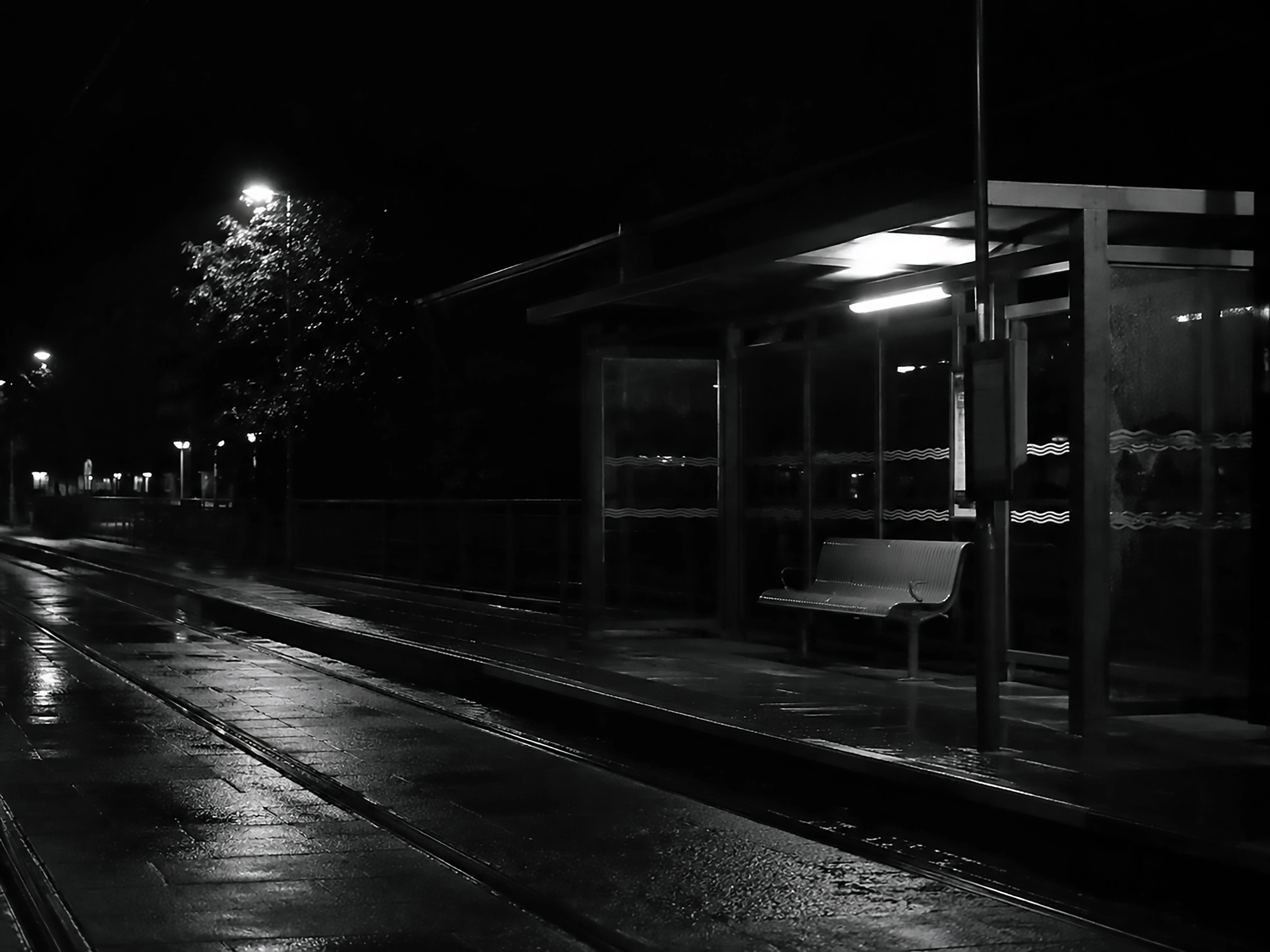 Bonjour tristesse — photographie 4