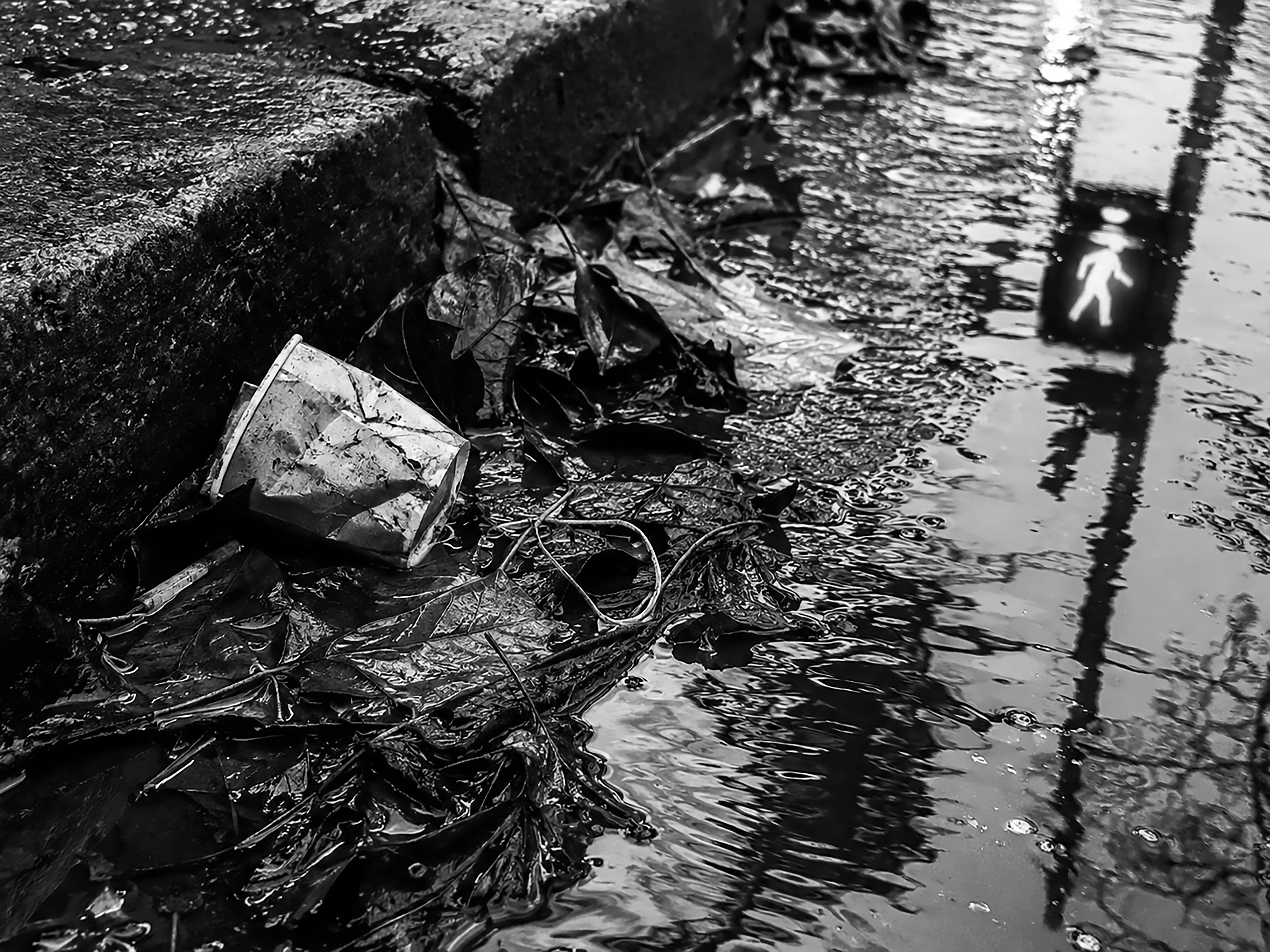 Bonjour tristesse — photographie 5