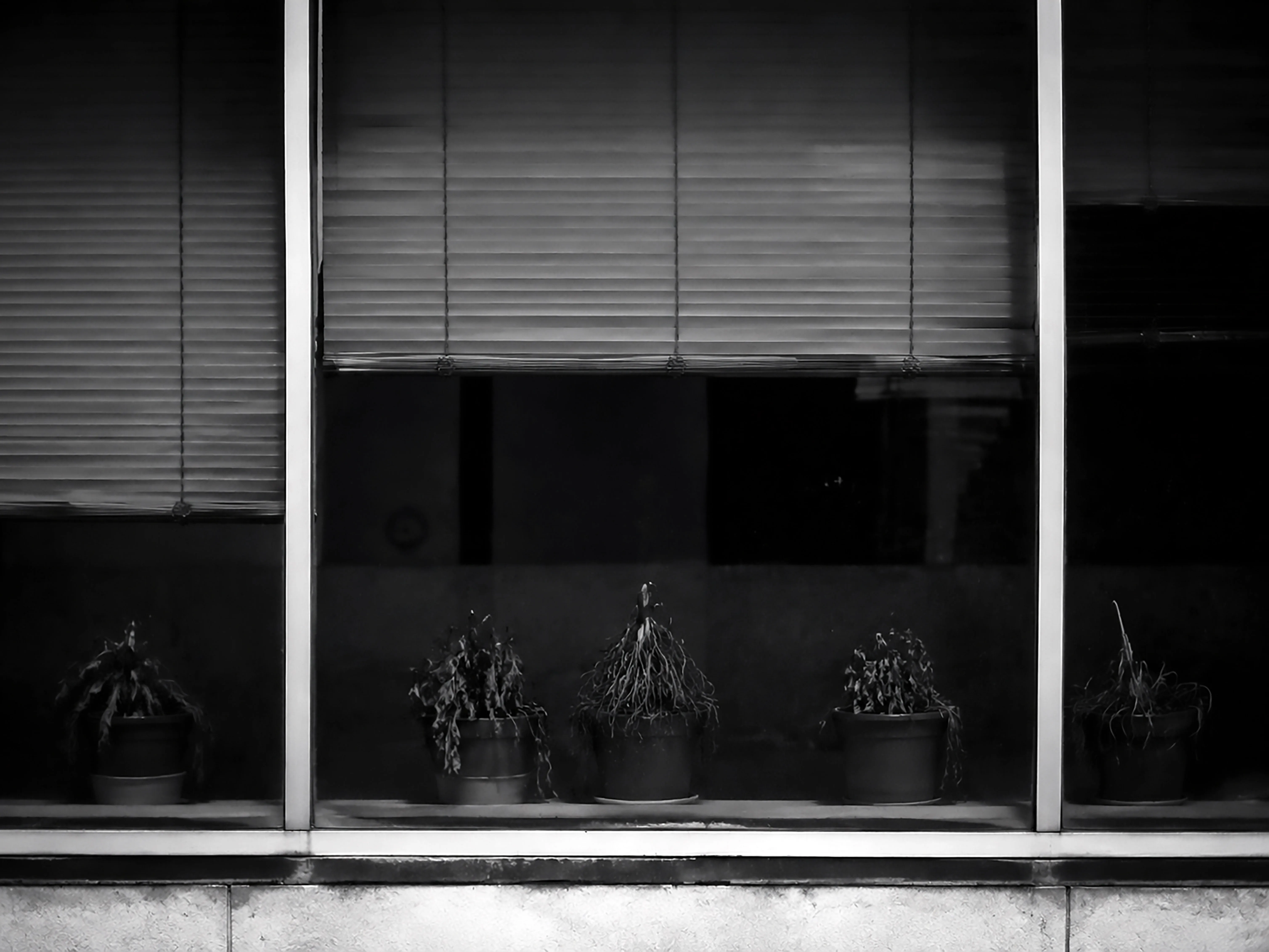 Bonjour tristesse — photographie 11