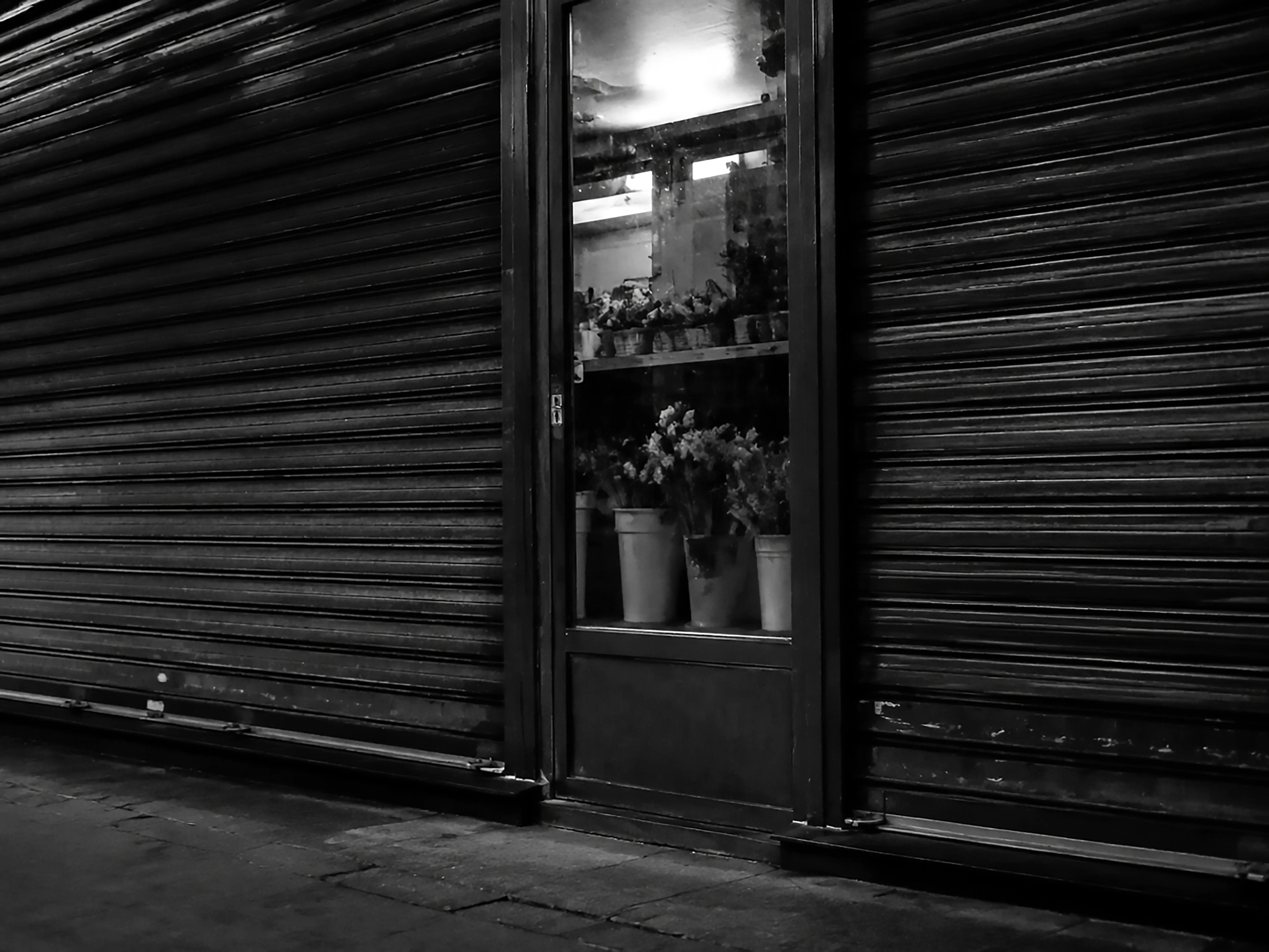Bonjour tristesse — photographie 15