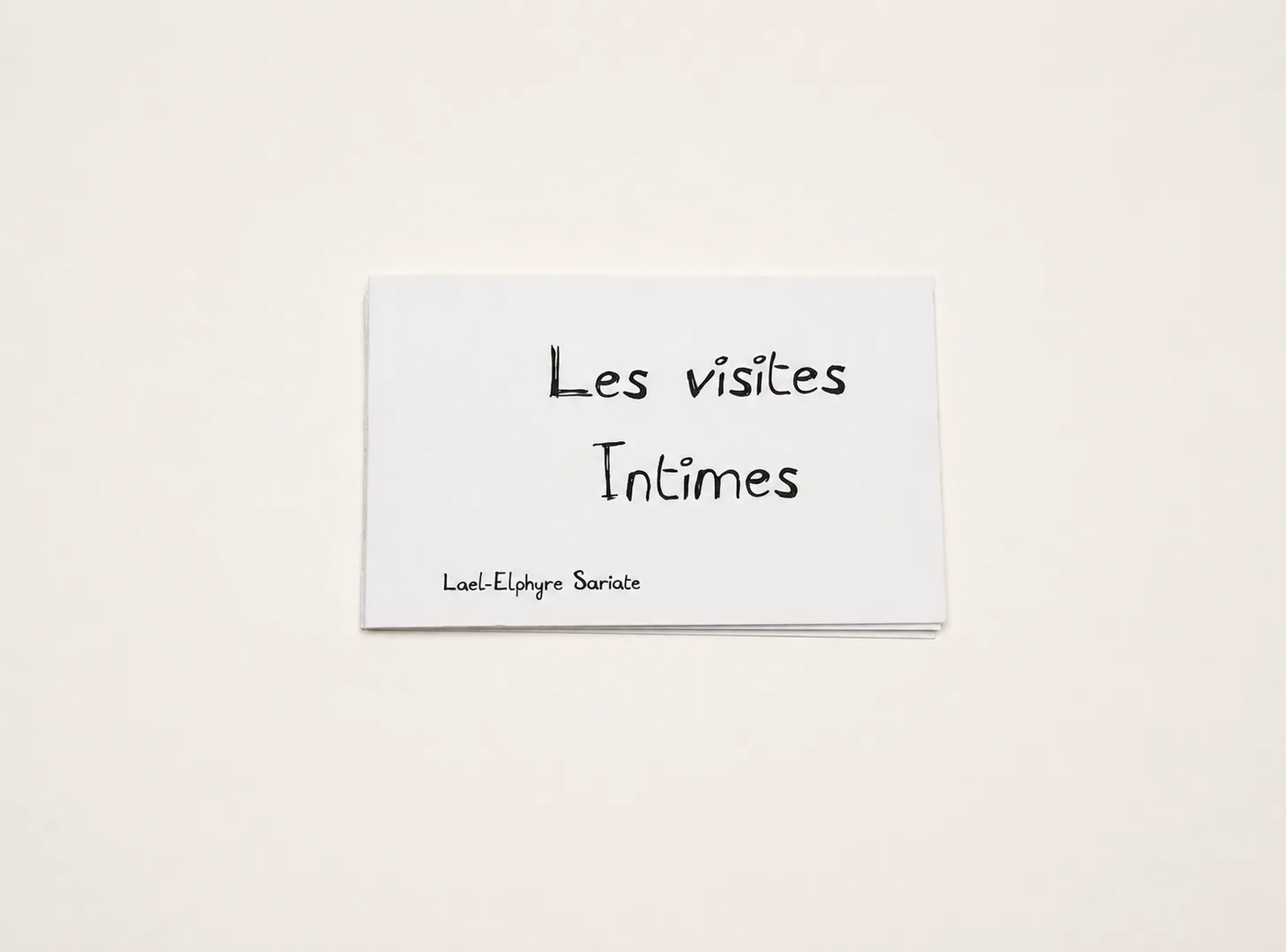 Aperçu du projet Les visites intimes