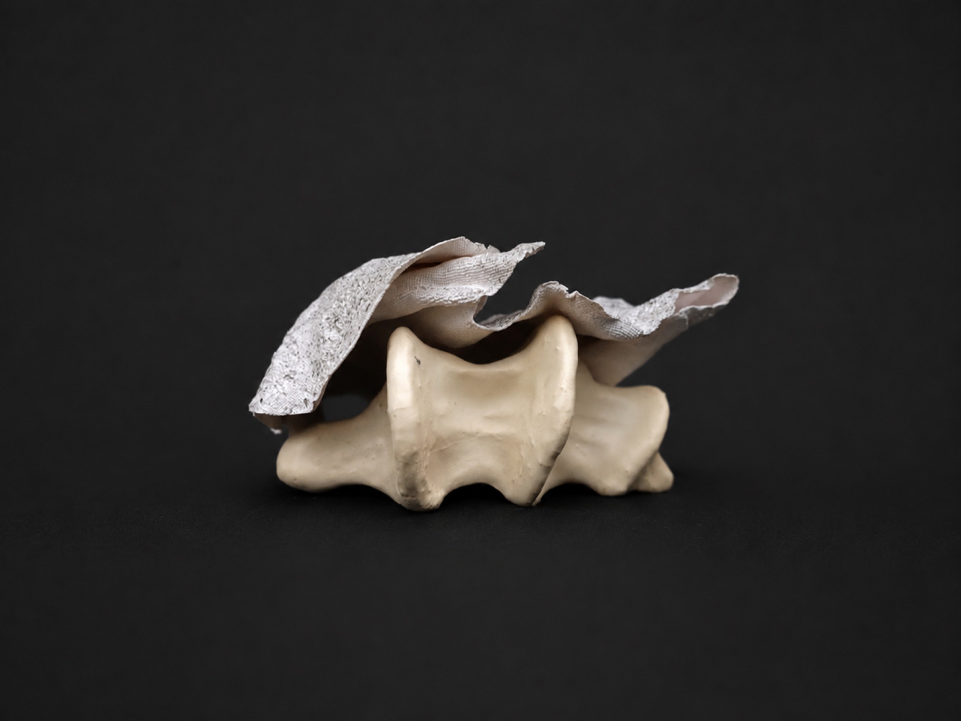 Mains — vue 9