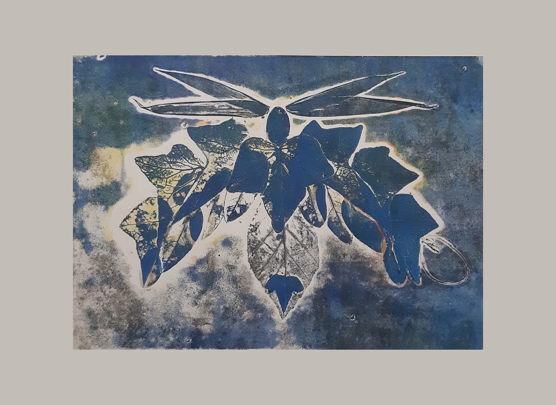 Papillons — vue 4