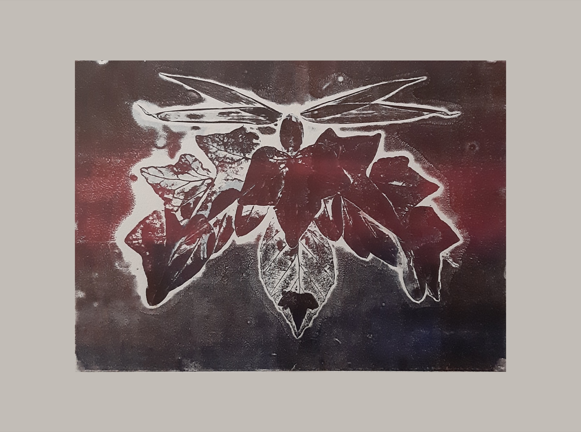 Papillons — vue 5